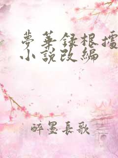 梦华录根据什么小说改编