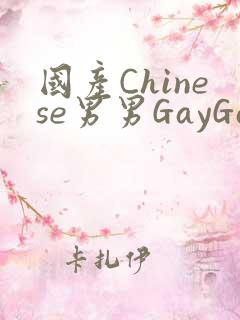 国产Chinese男男GayGayAPP