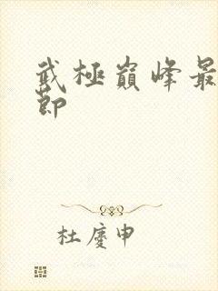 武极巅峰最新章节