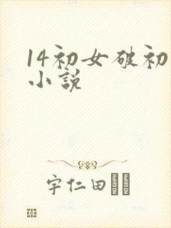 14初女破初的小说