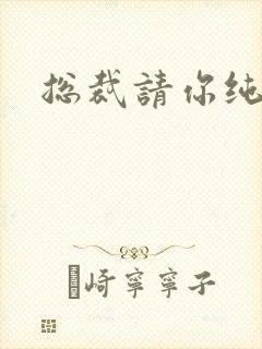 总裁请你纯洁点