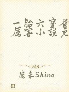 一胎六宝爸比好厉害小说免费阅读