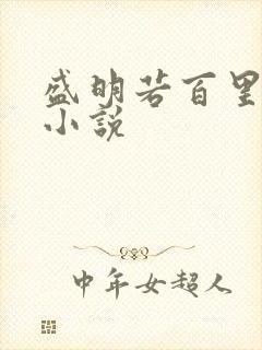 盛明若百里轻尘小说