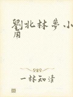 刘北林梦小说主角