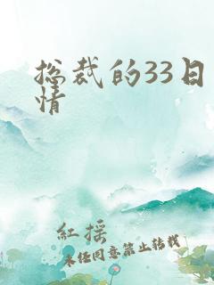 总裁的33日索情