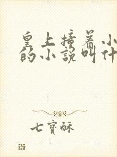 皇上撞着小公主的小说叫什么