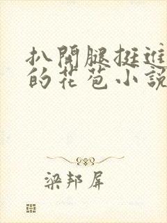 扒开腿挺进湿润的花苞小说