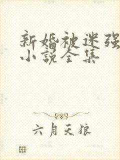 新婚被迷强系列小说全集