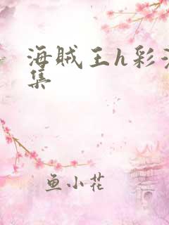 海贼王h彩漫画集