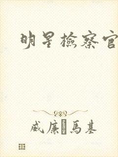 明星检察官小说