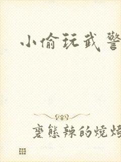 小偷玩武警上尉