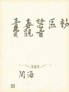 青春禁区动漫免费观看