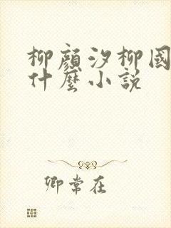 柳颜汐柳国安是什么小说
