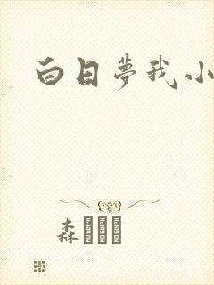 白日梦我小说