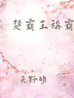 楚霸王称霸现代