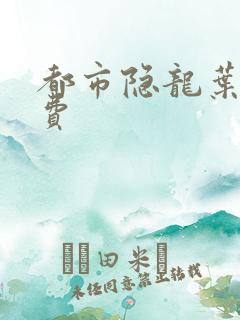 都市隐龙叶辰免费
