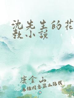 沈先生的花式调教小说