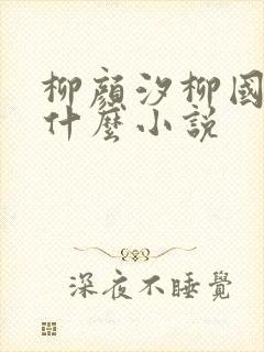 柳颜汐柳国安是什么小说