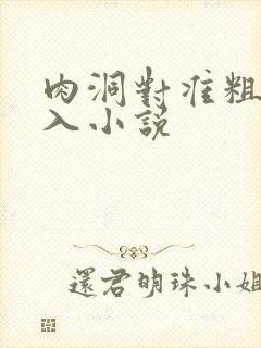 肉洞对准粗大坐入小说