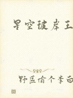 星空彼岸王轩