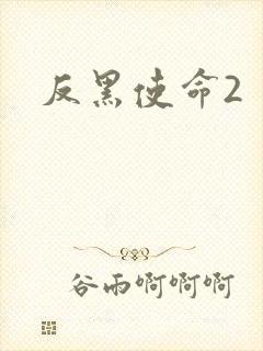 反黑使命2