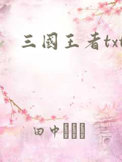 三国王者txt