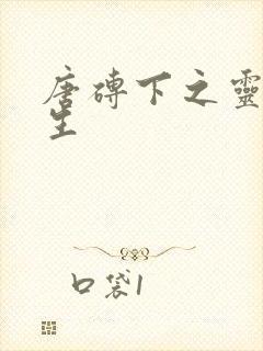 唐砖下之灵域双生