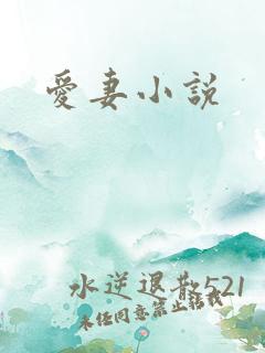 爱妻小说