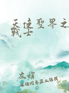 天使圣界之神之战士