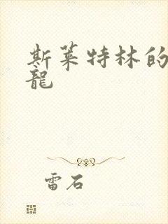 斯莱特林的铂金龙