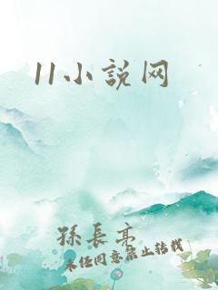 11小说网