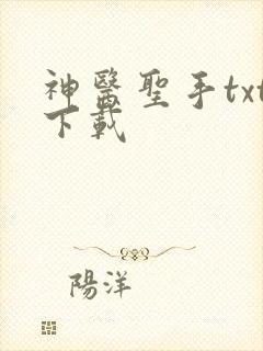 神医圣手txt下载