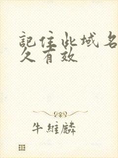 记住此域名记永久有效