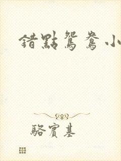 错点鸳鸯小说