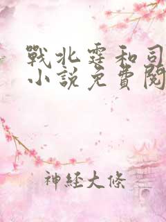 战北霆和司情的小说免费阅读