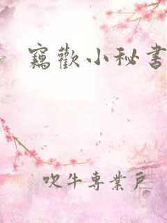 窃欢小秘书