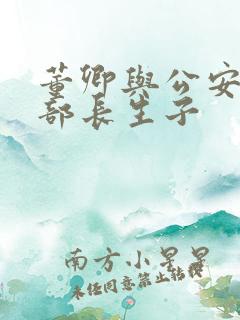 董卿与公安部副部长生子