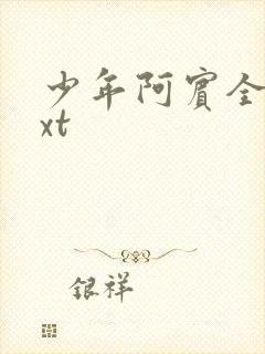 少年阿宾全集txt