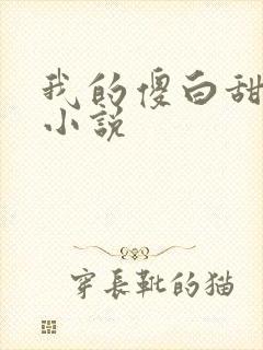 我的傻白甜老婆小说