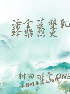 潘金莲双乳晃动干柴烈火