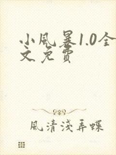 小风暴1.0全文免费