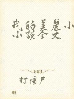 我的美丽小后妈小说全文