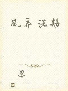 风弄 洗劫