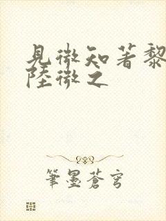 见微知著黎见卿陆微之