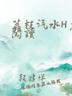 荔枝汽水H免费阅读