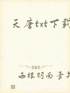 天唐txt下载