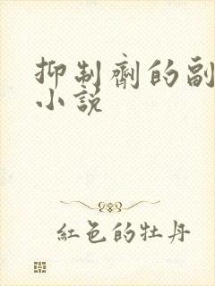 抑制剂的副作用小说