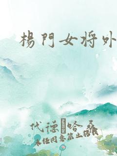 杨门女将外传