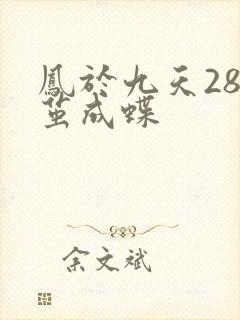 凤于九天28破茧成蝶