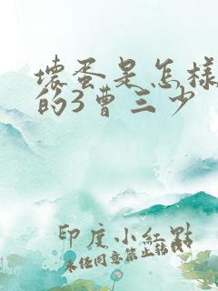 坏蛋是怎样炼成的3曹三少